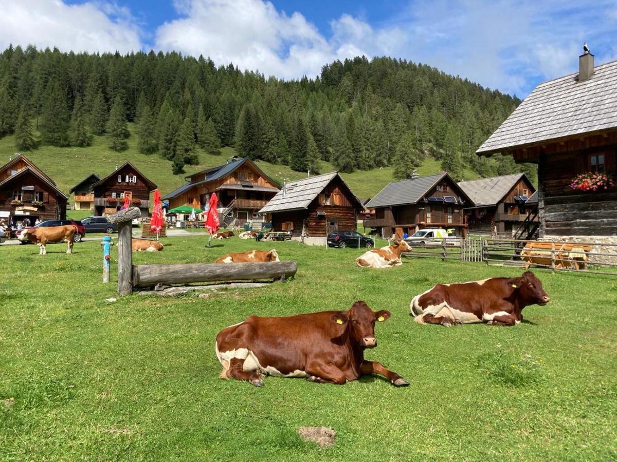 Berghaus Weissbriach Appartement Buitenkant foto